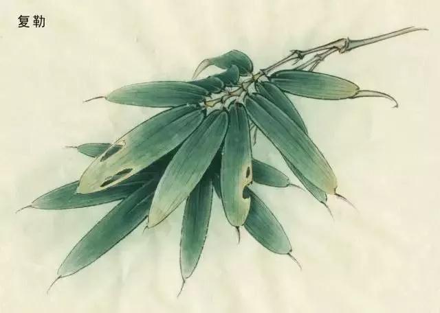 以写实造型为主的现代工笔人物画,工笔花鸟画写实精神的影响