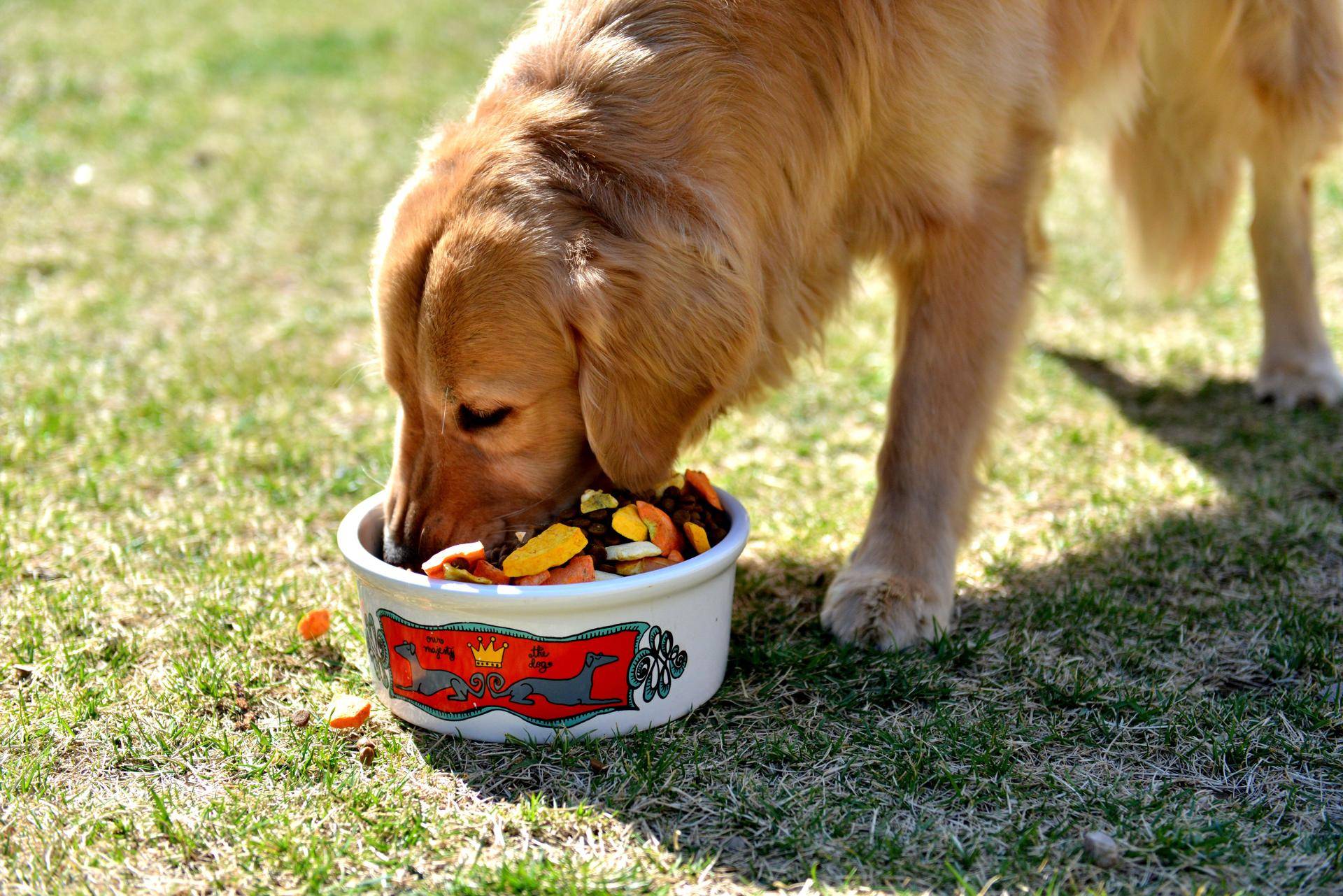 他是中国前首富,20岁前没穿过鞋,开公司36年如今业绩破千亿