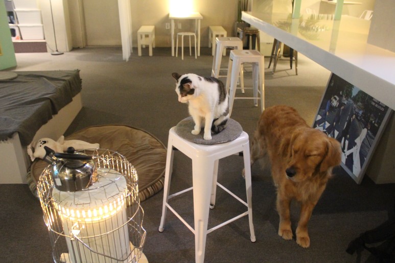 就连文艺女青年也找不到的史诗级咖啡店，因为它们真的藏在角落里