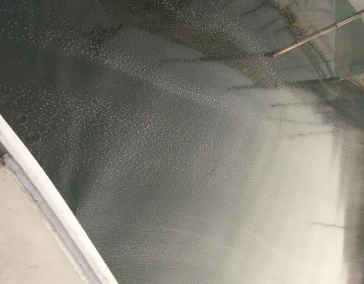 河蟹气泡病症状,河蟹气泡病怎么预防