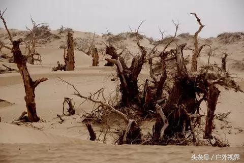 推荐一条绝美自驾徒步路线,徒步最美又最安全的旅游路线