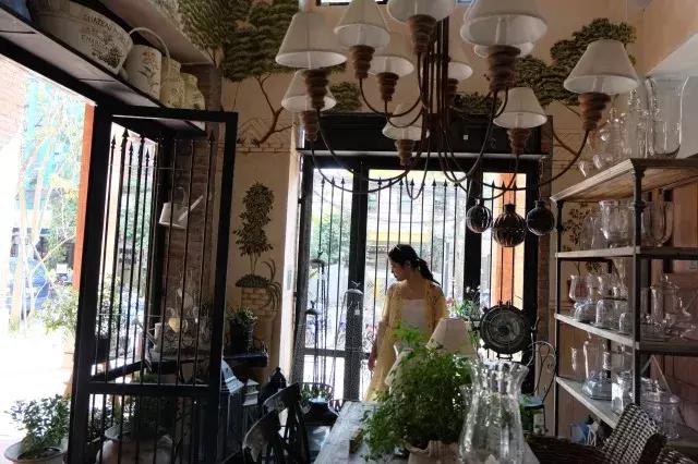 泰国山竹季节,泰国季节分为几季