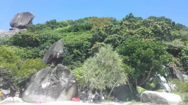 泰国山竹季节,泰国季节分为几季