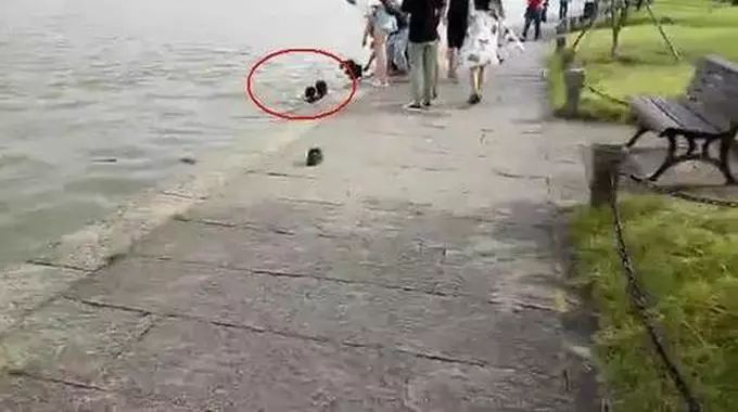 这款“禁欲式全面屏”手机,誓为解救低头族还酷过iPhoneX?!