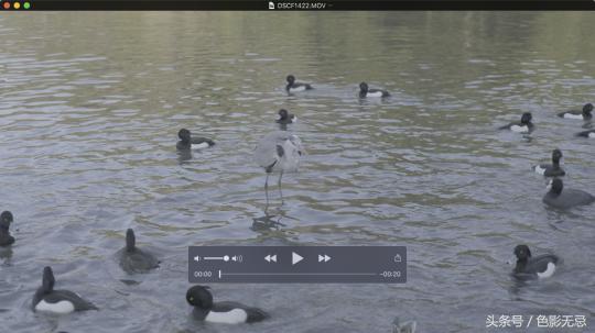专业市场的野望,FujifilmX-H1横滨使用手记