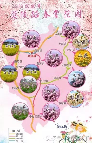 株洲市在线监控系统,株洲监控设备