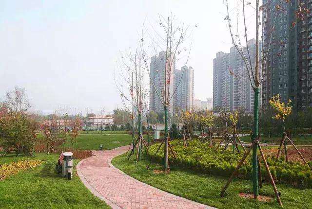 海淀后花园,海淀一层带花园的小区