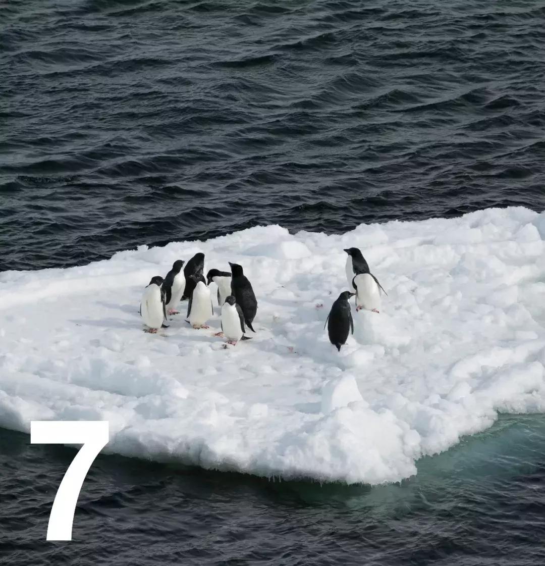 佛系青年们，智能佛珠了解一下。|GQDaily