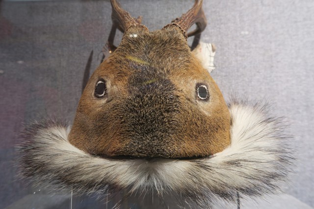 衣锦风尚时尚女装,中国传统服饰背后的文化底蕴