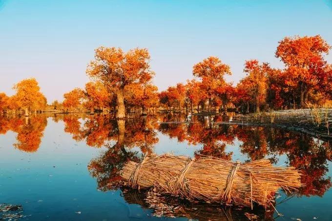 我们来自五湖四海原唱,我们来自于五湖四海全文