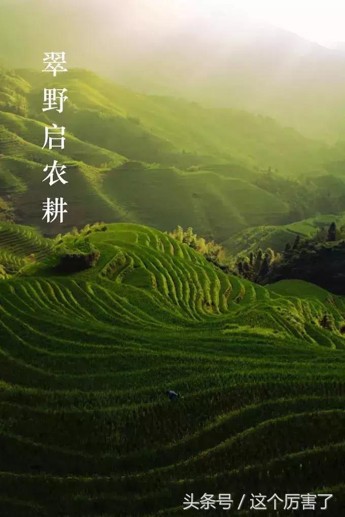 今日惊蛰节气高清图片,今日节气惊蛰万物苏醒