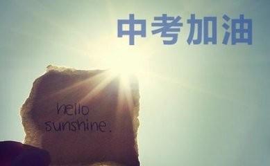 中考复习实数练习题,中考数学实数专项练习