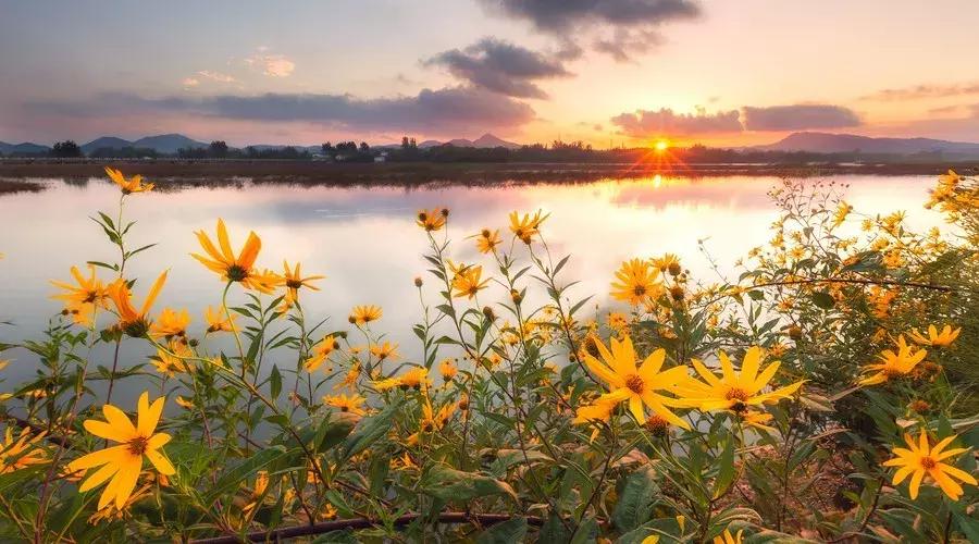唯美淡雅诗词分享,最美暖心的诗词