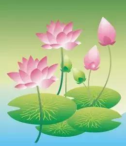 戒色心得：关于长期戒色后“突然失败”的研究……