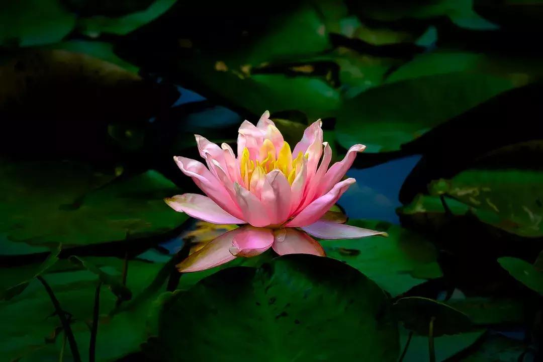 戒色心得：关于长期戒色后“突然失败”的研究……