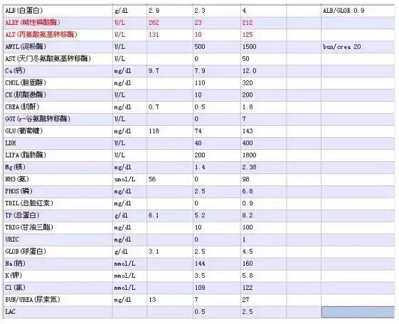 溴鼠灵追踪膏中毒用什么解救,溴鼠灵中毒多长时间死亡