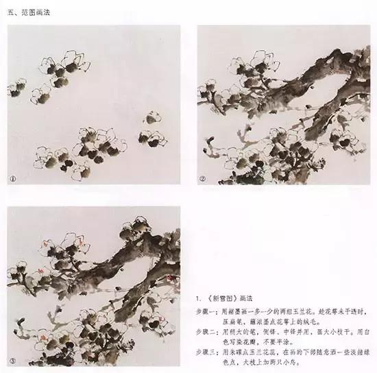 国画小写意玉兰花作品,国画玉兰花谁画的最好