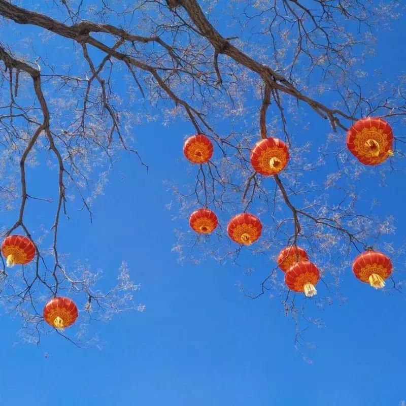 手机摄影作品周末篇赏析,手机拍100个高逼格摄影作品