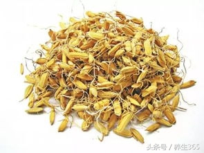 中医消食促消化的方法,消食化滞吃什么中药