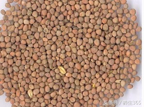 中医消食促消化的方法,消食化滞吃什么中药