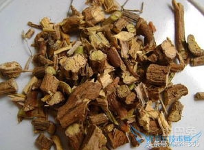 中医消食促消化的方法,消食化滞吃什么中药