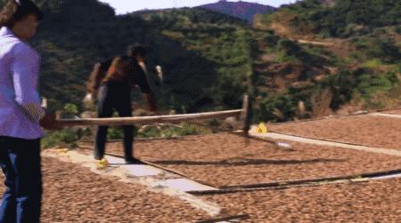 西施最爱的零食,恐龙时代已经存在,找遍整个中国才找到