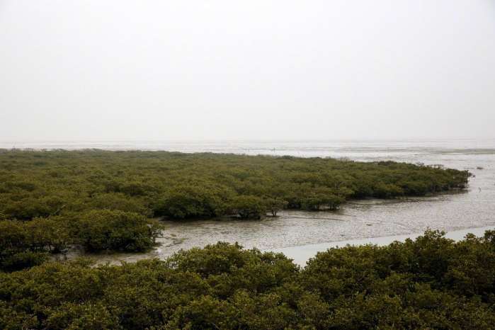 清早大叔在海边挖虫子，洗干净在餐桌上就是大补的美味