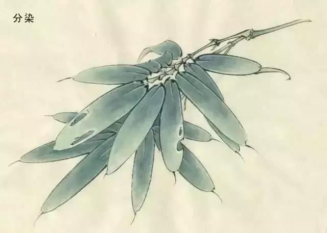 以写实造型为主的现代工笔人物画,工笔花鸟画写实精神的影响