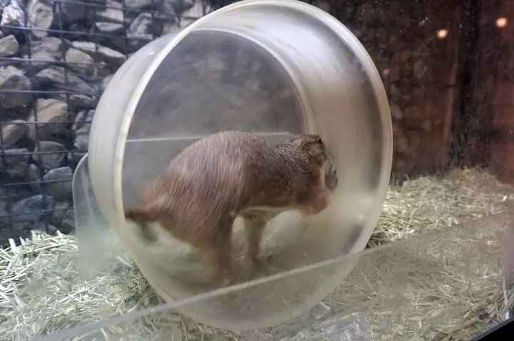 就连文艺女青年也找不到的史诗级咖啡店，因为它们真的藏在角落里