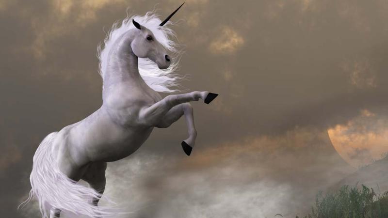 富士康引领独角兽上市潮流,小米滴滴有望加速,这家最值得期待