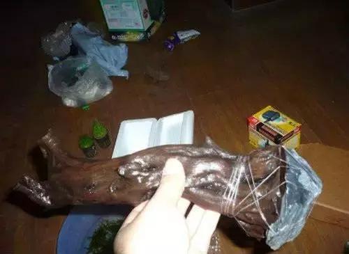 垂泪莫斯和三角莫斯火焰莫斯,莫斯水草球做法