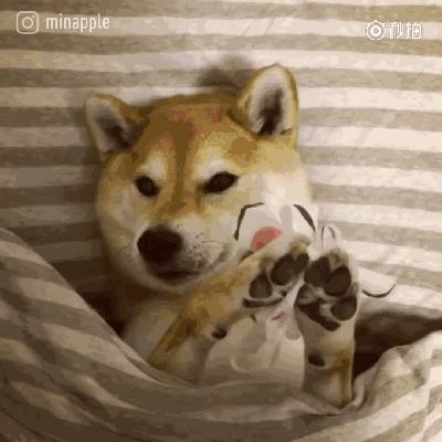 日本补水面膜哪个牌子好,日本口碑好的补水面膜