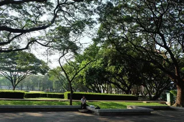 泰国山竹季节,泰国季节分为几季