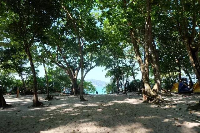 泰国山竹季节,泰国季节分为几季