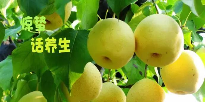 惊蛰需要注意什么,惊蛰养生三大注意点