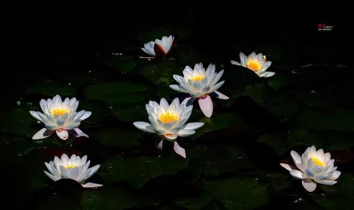 戒色心得：关于长期戒色后“突然失败”的研究……