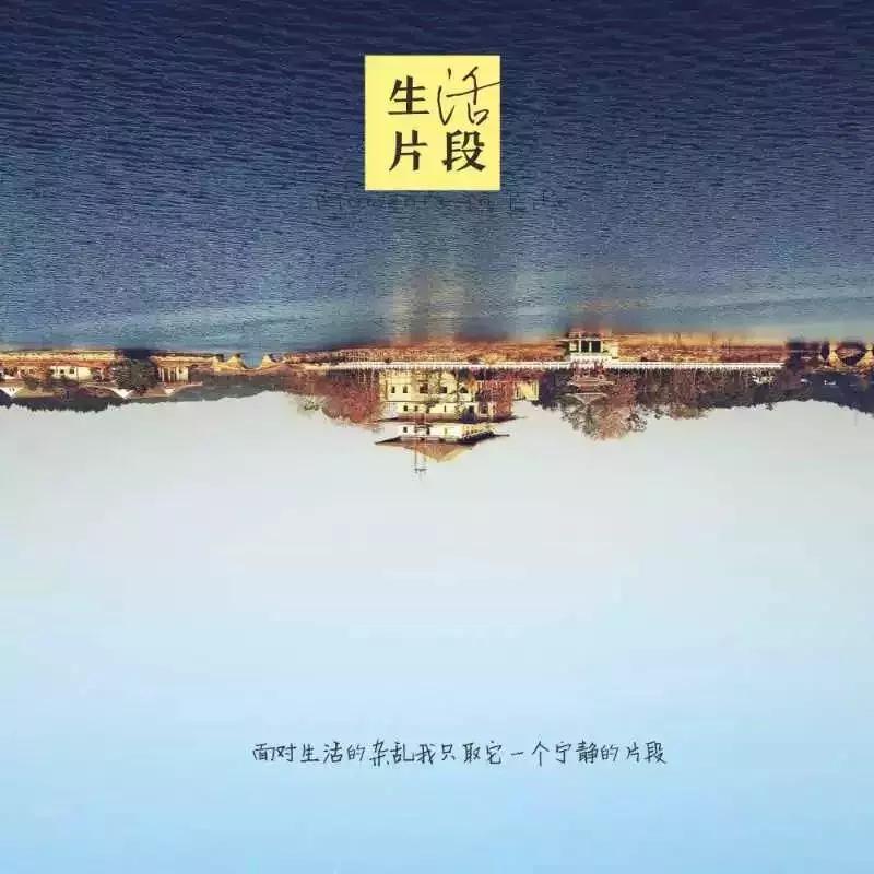 手机摄影作品周末篇赏析,手机拍100个高逼格摄影作品