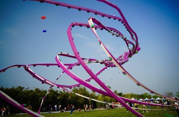 温州三八妇女节好玩的地方,温州三八节活动