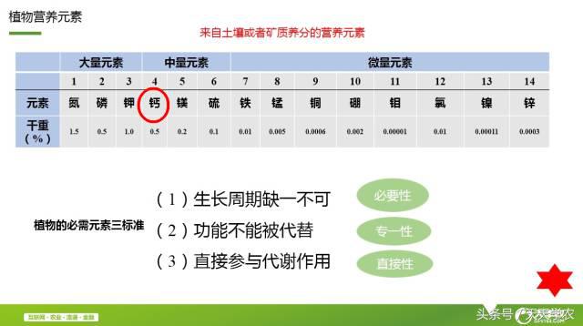柑橘黄化不一定是缺素,引起柑橘黄化的原因有哪些