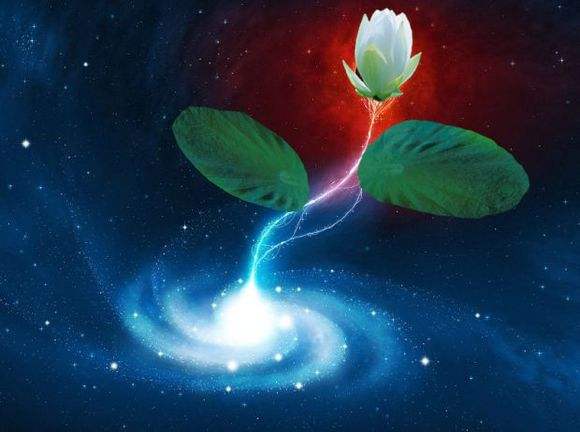 遮天青帝和无始大帝哪个早,遮天青帝之前的大帝