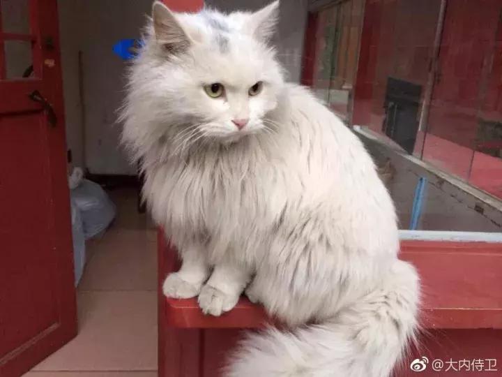 鏁呭18鍙尗,鏁呭鍚哥尗181鍙尗