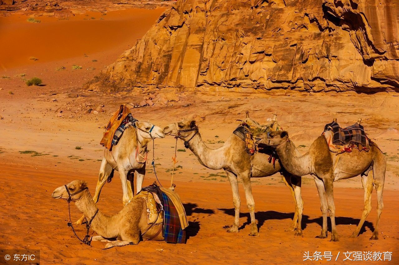 2021中考语文文学常识,中考语文文学常识100题汇总附答案