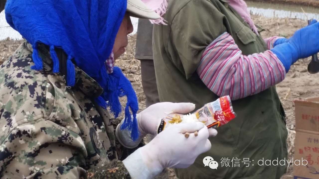 麦秸秆做的杯子安全吗,小麦秸秆杯子真的健康吗