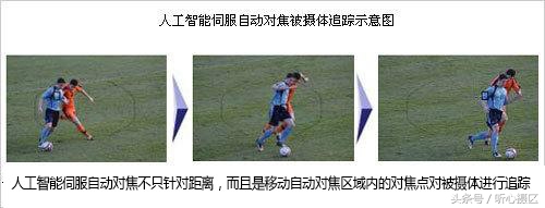 单反相机多点对焦正确使用方法,单反相机自动对焦点的运用有哪些