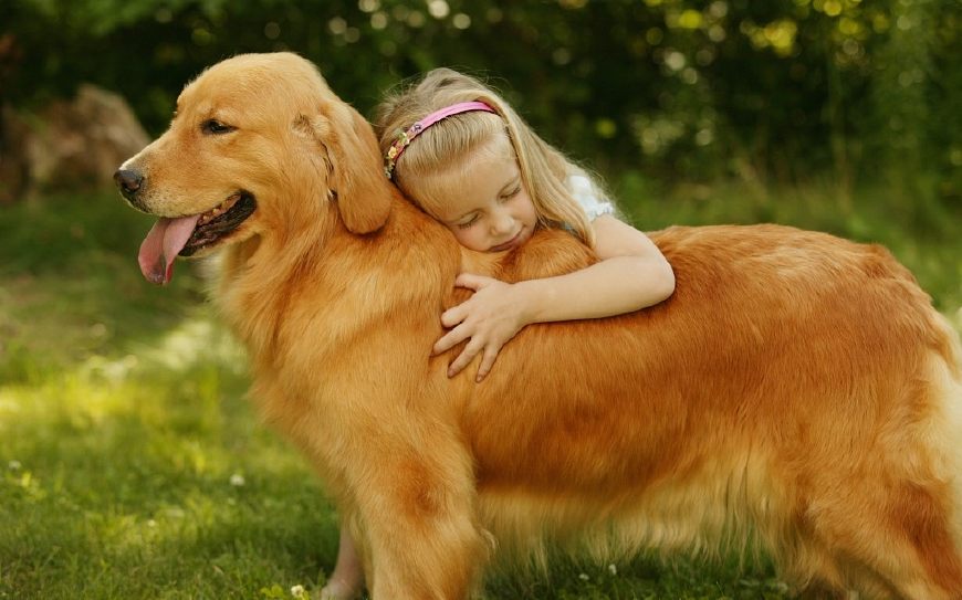 十二星座命中注定星座伴侣是谁,十二星座对应的宠物
