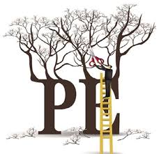 私募股权投资的起源及发展历程,私募股权投资与商业模式