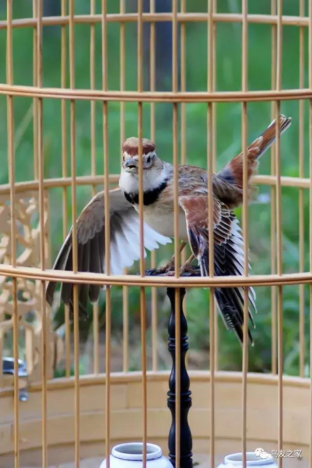 爆文故事视频,爆文完整视频