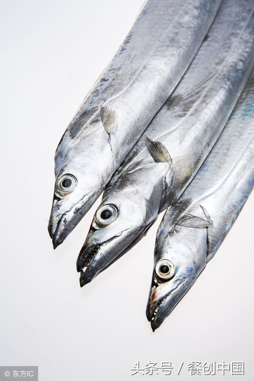 葱油蒸带鱼图片,带鱼段油炸的蒸带鱼家常做法