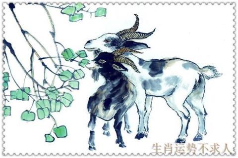 生肖羊有什么特别吗,生肖羊排几名