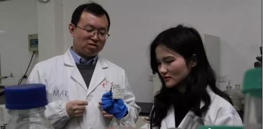 浙大发明的北极熊毛衣多少钱,黑科技仿生羽绒材料